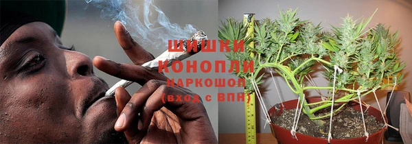 ПСИЛОЦИБИНОВЫЕ ГРИБЫ Костерёво