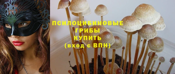 гидра Алексин